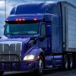 why do commercial trucks get weighed